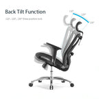 Sihoo M57 Ergonomic Office Chair, Computer Chair Desk Chair High Back Chair Breathable,3D Armrest V255-SIHOO-M57-0009-GY