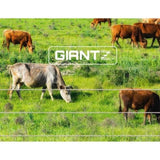 Giantz Electric Fence Poly Wire 2000M FIK-WIRE-2000M