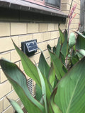 Solar Step Lights V341-SSGL-22
