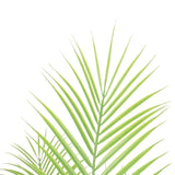 Artificial Modern Bushy Areca Fern Tree 120cm V77-1197928