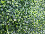 Mixed Boxwood Hedge Panels / Screens UV Resistant 1m x 1m V77-1014801