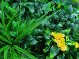 Yellow Rose Vertical Garden / Green Wall UV Resistant 100cm x 100cm V77-1156286
