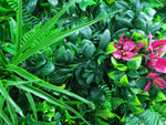 Elegant Red Rose Vertical Garden / Green Wall UV Resistant 100cm x 100cm V77-1156300
