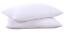 Puredown Goose Down and Feather Pillow Inserts for Sleeping, 100% Cotton Fabric Cover Bed Pillows, V541-A-SG-PD-DP15021-K