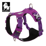 Lightweight Harness Purple L V188-ZAP-TLH6281-11-PURPLE-L