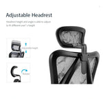 Sihoo M57 Ergonomic Office Chair, Computer Chair Desk Chair High Back Chair Breathable,3D Armrest V255-SIHOO-M57-0009-GY