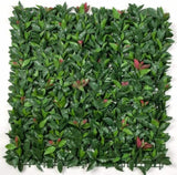 Photinia Leaf Screens / Panels UV Stabilised 1m X 1m V77-1000496