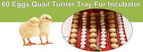 Electric 60 Egg Incubator + Accessories Hatching Eggs Chicken Quail Duck V238-SUPDZ-33454539334