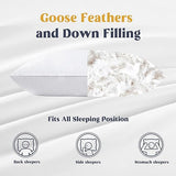 Puredown Goose Down and Feather Pillow Inserts for Sleeping, 100% Cotton Fabric Cover Bed Pillows, V541-PD-DP15021-Q