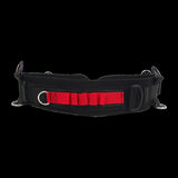 Electronics Accessories Bundle Waistband Shoulders Strap Kit SLR/DSLR Cameras V63-842381