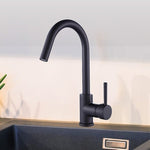 Kitchen Mixer Tap Faucet for Basin Laundry Sink V63-826301