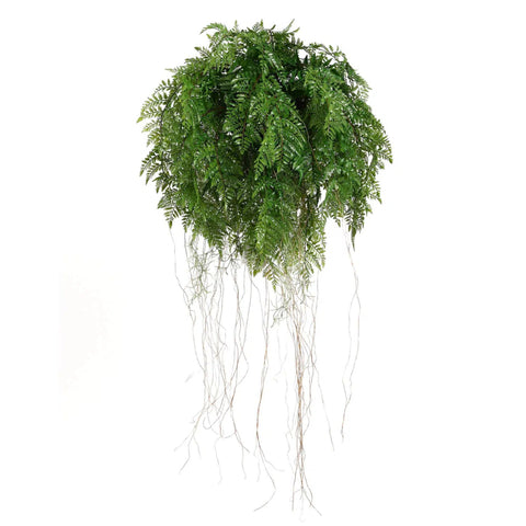 Large Lush Tropical Hanging Fern Ball 55cm Diameter V77-1219209