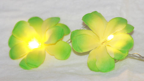 1 Set of 20 LED Green Frangipani Flower Battery String Lights Christmas Gift Home Wedding Party V382-GRFRANGIBATT20
