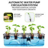 PLANTCRAFT 12 Pod Indoor Hydroponic Growing System, with Water Level Window & Pump, Black V219-GDSHYDBD12KA