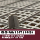 Dog Pet Potty Tray Training Toilet Raised Walls T1 WINE V274-PET-POTT1-WN
