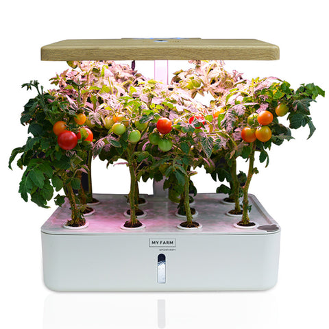 PLANTCRAFT 12 Pod Indoor Hydroponic Growing System, with Water Level Window & Pump, White V219-GDSHYDBD12WA