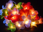 1 Set of 20 LED Tropical Bright Colous Frangipani Flower Battery String Lights Christmas Gift Home V382-TROPFRANGIBATT20