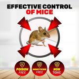 SAS Pest Control 24PCE Mouse Traps Catch & Release Trap Door Mechanism 19cm V293-268665-24