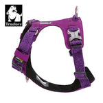 Lightweight Harness Purple L V188-ZAP-TLH6281-11-PURPLE-L