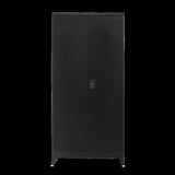 Two-Door Metal Cabinet Shelf Storage for Home Office Gym V63-844361