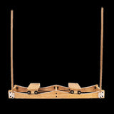Ski Machine W/ Handrails V63-842421