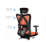 Sihoo M18 Ergonomic Office Chair, Computer Chair Desk Chair High Back Chair Breathable,3D Armrest V255-SIHOO-M18-025-BK