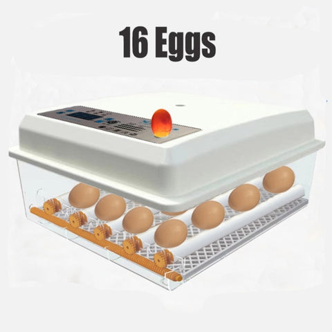 16 Egg Incubator Fully Automatic Digital Thermostat Chicken Eggs Poultry V201-EGG0216WH8AU