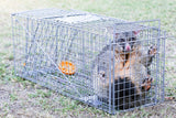 Trap Humane Possum Cage Live Animal Safe Catch Rabbit Cat Hare Fox Bird V63-833601