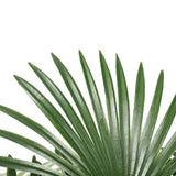 Artificial Wide Leaf Fan Palm Tree 90cm V77-1197764