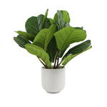 Decorative Potted Dense Artificial Fiddle Leaf Fig In Beautiful Decorative Bowl 37cm V77-8870013