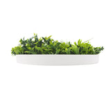 Flowering White Artificial Green Wall Disc UV Resistant 75cm V77-8880011