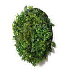 Slimline Artificial Green Wall Disc Art 80cm Mixed Green Fern & Ivy V77-N1013916W