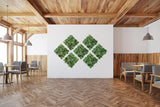 YES4HOMES 12 x Artificial Plant Wall Grass Panels Vertical Garden Tile Fence 50X50CM V278-12-X-CCGA008-PHOTINIA