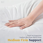 Puredown Goose Down and Feather Pillow Inserts for Sleeping, 100% Cotton Fabric Cover Bed Pillows, V541-PD-DP15021-Q