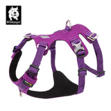 Whinhyepet Harness Purple 2XS V188-ZAP-YH-1807-13-PURPLE-XS