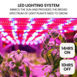 PLANTCRAFT 12 Pod Indoor Hydroponic Growing System with Bamboo Frame & LED Lights V219-GDSHYDBD12TA