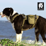 Whinhyepet Military Harness Army Green XL V188-ZAP-YH1805-ARMYGREEN-XL