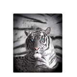 Just Home Blue Eyes Stripes Tiger Polar Fleece Throw Rug V442-LDE-THROW-BLUEEYESSTRIPES-BLACK-RE