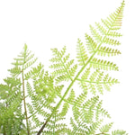 Faux Natural Fern Tree 90cm V77-1890000