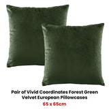 Bianca Pair of Vivid Coordinates Forest Green Velvet European Pillowcases V442-BCA-PILLOWC-VIVIDVELVET-FOREST-EU