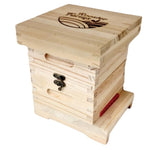 Mini Beehive Box 2 Tier Timber Decor Art Apiarist Gift Jewellery Trinkets Storage V238-SUPDZ-39524766122064