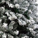 Christabelle Snow-Tipped Snowflocked Artificial Christmas Tree 1.5m - 550 Tips CMT-BXS-210-SN