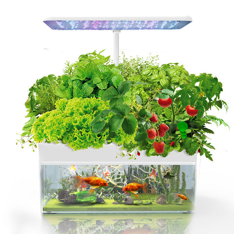 PLANTCRAFT 12 Pod Indoor Hydroponic Growing System with Fish Tank V219-GDSHYDBD12FA