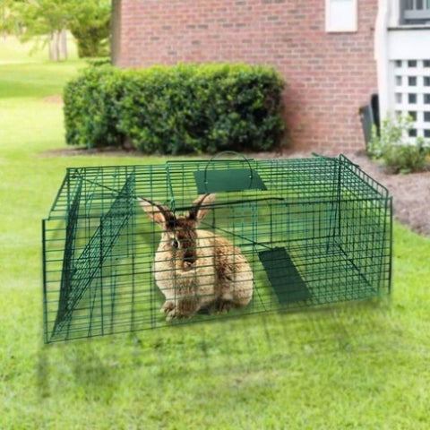 Humane Live Animal Trap Possum Rat Rabbit Hare Catcher Folding Cage CH-628