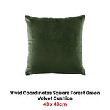 Bianca Vivid Coordinates Square Forest Green Velvet Cushion V442-BCA-CUSHION-VIVIDVELVET-FOREST-SQ