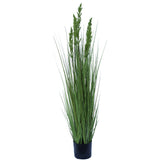 Flowering Native Grass 120 cm V77-1018921