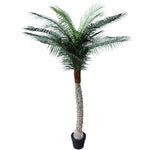 Tropical Phoenix Palm Tree 170cm UV Resistant V77-1043082