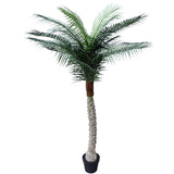 Tropical Phoenix Palm Tree 170cm UV Resistant V77-1043082