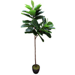 Tall Artificial Fiddle Leaf Fig 170cm V77-1016113