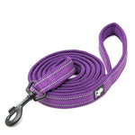 Reflective Pet Leash 2 meters Purple M V188-ZAP-TLL2111-PURPLE-M